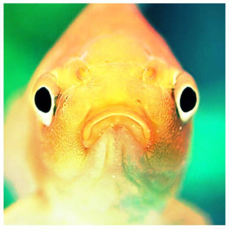 Obrázek epizody 2017 Maldelsauce exclusive Mix I