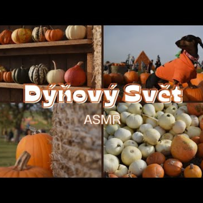Obrázek epizody ASMR A Day at Pumpkin World – Cozy Autumn Vlog & Whispers (CZ)