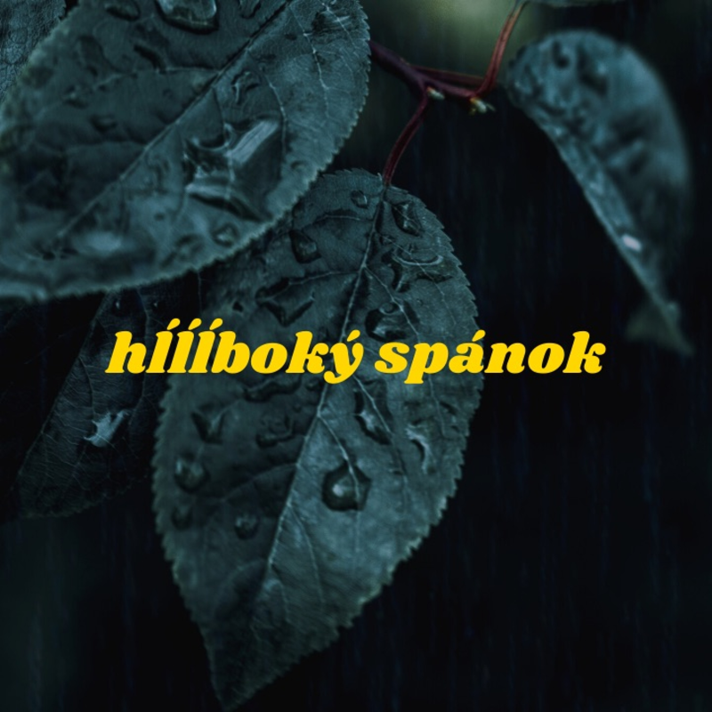 Obrázek epizody Na zaspávanie - 2 hodiny zvukov búrky + binaurálne beaty na hlboký spánok!