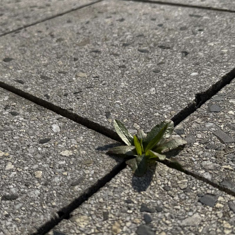 Obrázek epizody O potenciálu, okamžitém zlepšení a dlouhodobém zlepšování