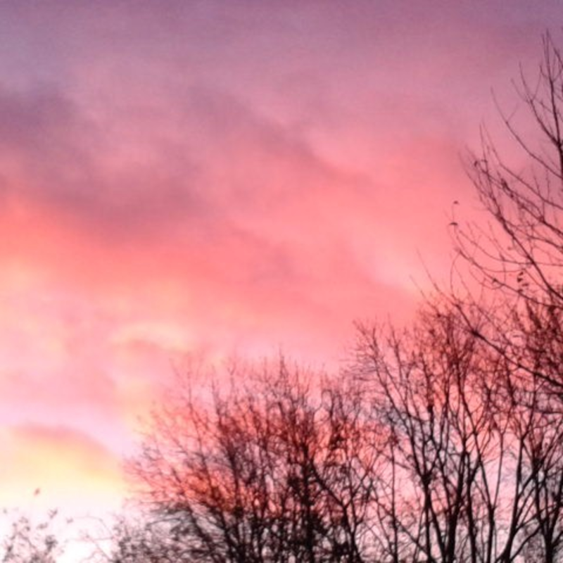 Obrázek epizody V návratu snění