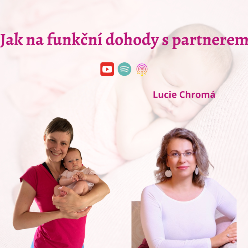 Obrázek epizody Jak na funkční dohody s partnerem