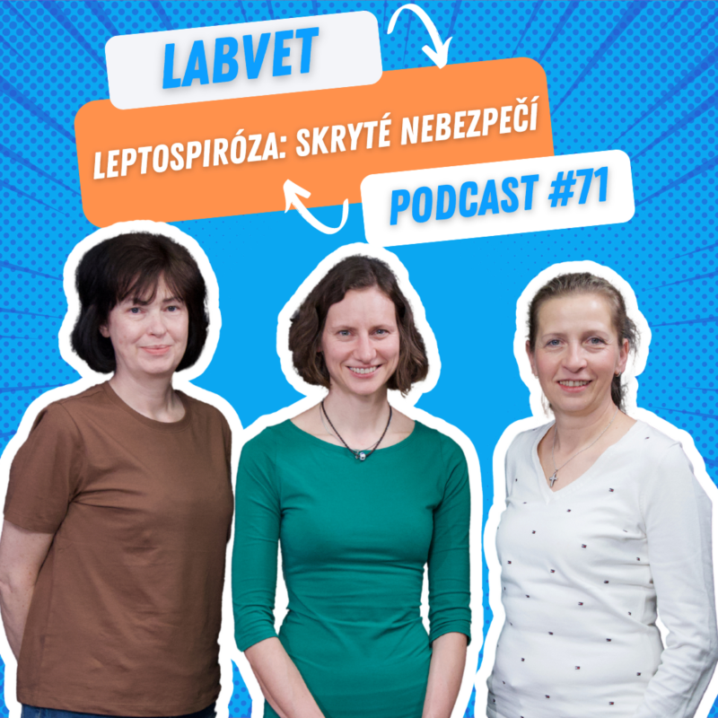 Obrázek epizody 👩⚕️Leptospiróza: Skryté nebezpečí👩⚕️ | Labvet Podcast #71