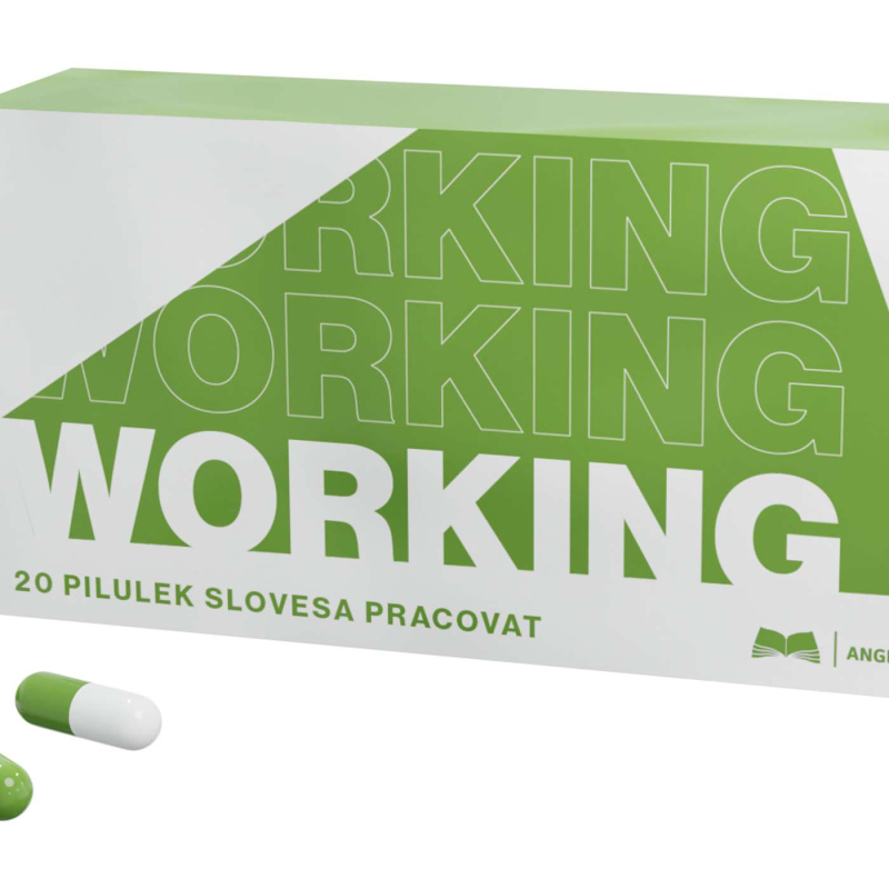 Obrázek epizody PRACOVAT - 80 praktických vět
