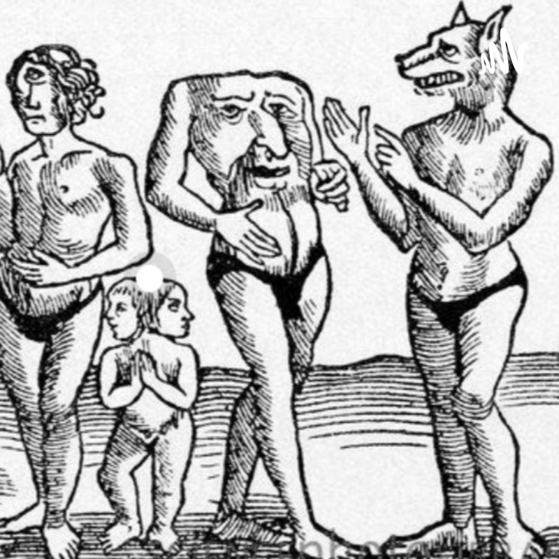 Obrázek epizody Kdo je tady normální?!