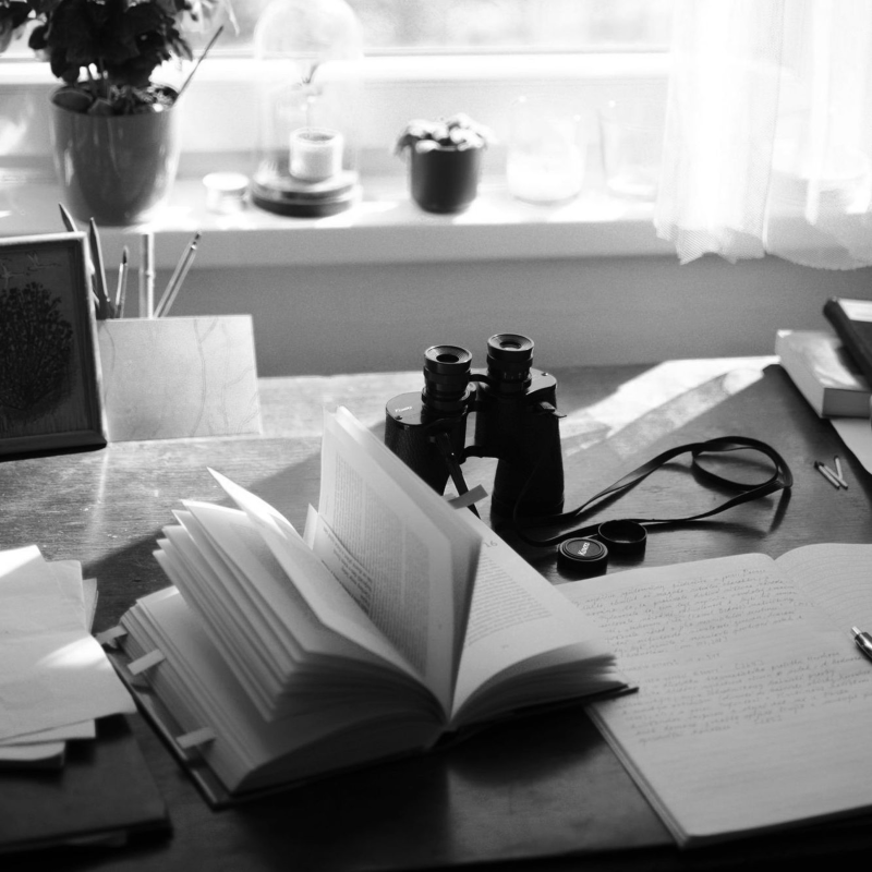 Obrázek epizody Klára Krásenská: Okno a stůl