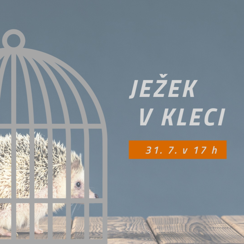 Obrázek epizody Ježek v kleci