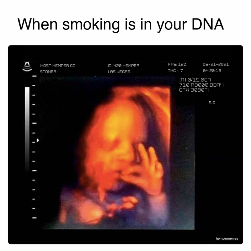 Obrázek epizody 8.7.2022 - Maya Mix - Only