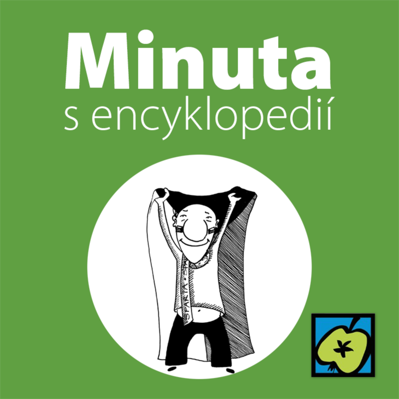 Obrázek epizody Státní vlajka