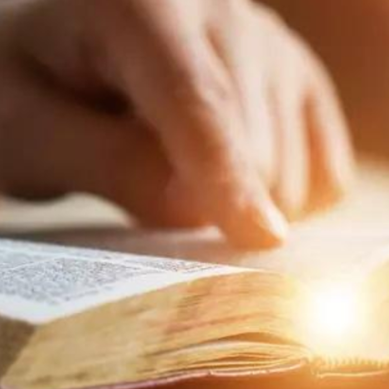 Obrázek epizody Žalm 139