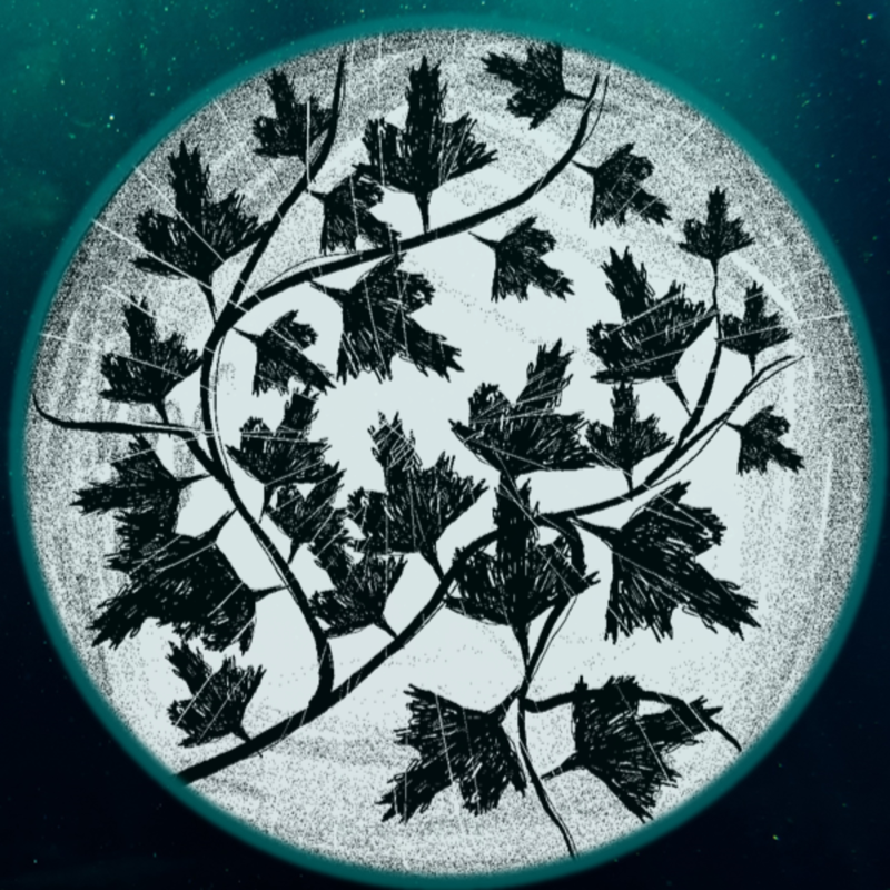 Obrázek epizody Jonáš: Radost (42)