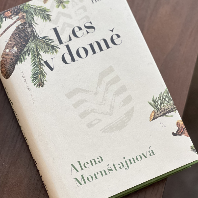 Obrázek epizody Zazie v metru #57: Alena Mornštajnová - Les v domě