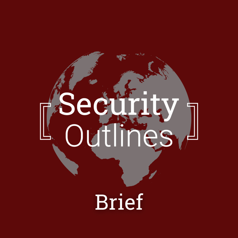 Obrázek epizody BRIEF: Občianske vojny, islamizmus a politické násilie v subsaharskej Afrike počas roku 2024