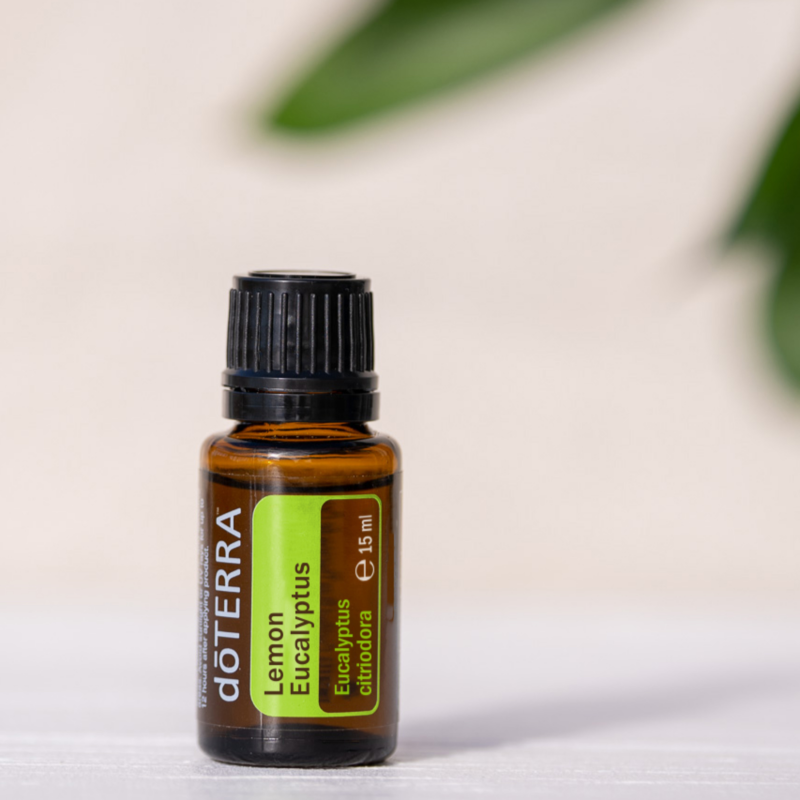 Obrázek epizody Svěží Obrana: Lemon Eucalyptus a Jeho Přírodní Síla 🍋🌿