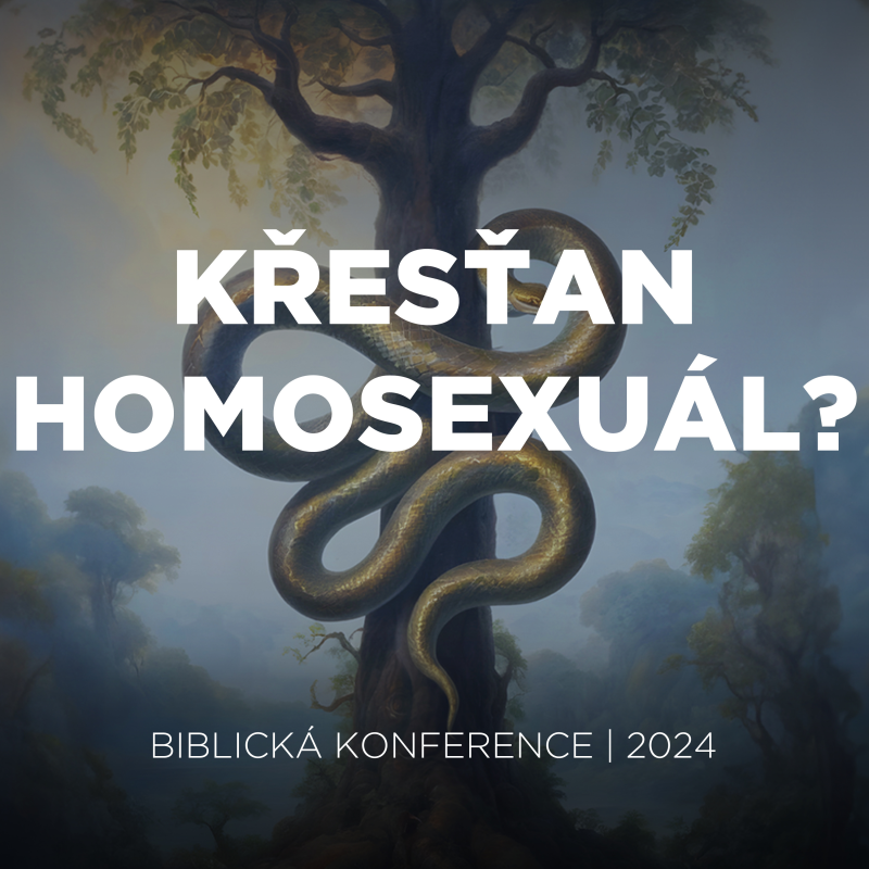 Obrázek epizody #Q&A 03 Křesťan homosexuál? | Biblická konference 2024
