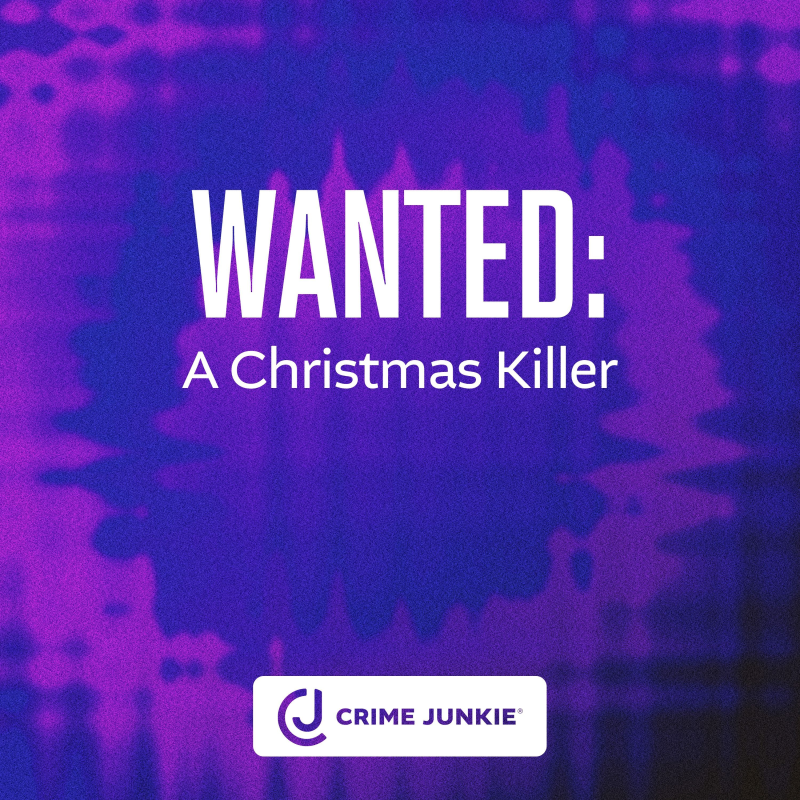 Obrázek epizody WANTED: A Christmas Killer