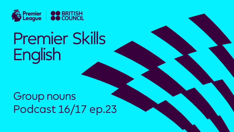 Obrázek epizody Premier Skills English Podcast - Group nouns 16/17 ep.23