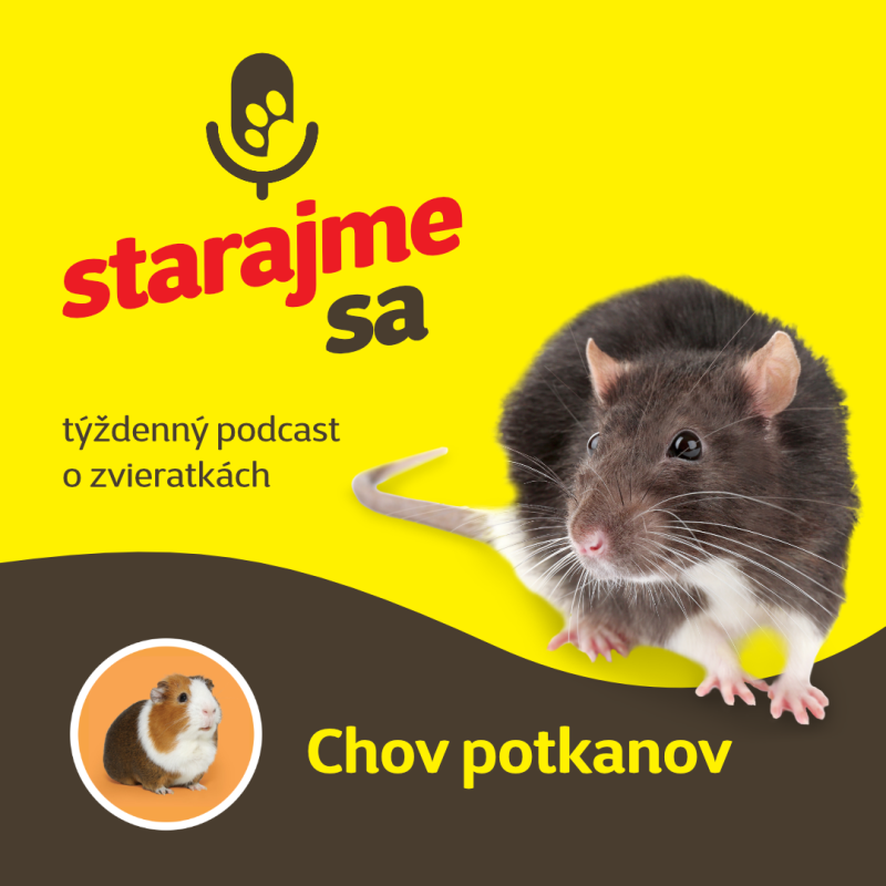 Obrázek epizody Drobné cicavce: Chov potkanov