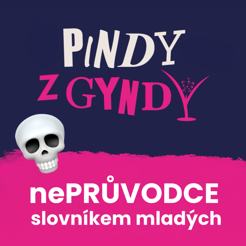 Obrázek epizody nePRŮVODCE slovníkem mladých - jste starý? 💀