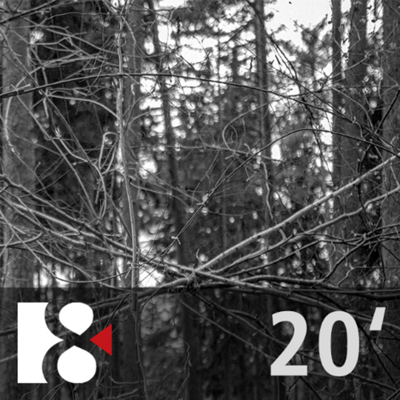 Obrázek epizody Algoritmus (ne)bezpečí | Ve 20 minutách