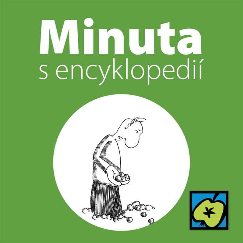 Obrázek epizody Kroupy