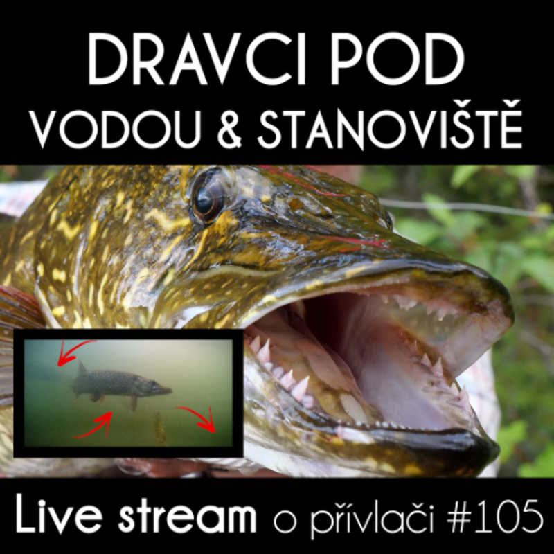 Obrázek epizody Přívlač Live #105 - ŠOK! Tři štiky na jednom místě! Dravci pod vodou