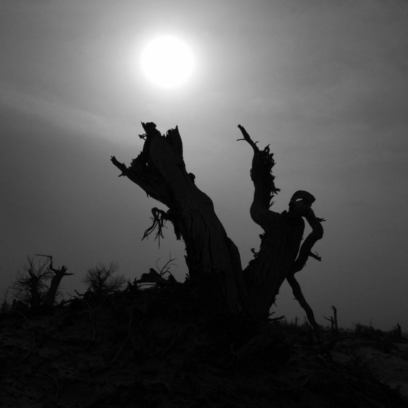 Obrázek epizody Pramen obrácení (3. mezidobí 2023 Tachov)