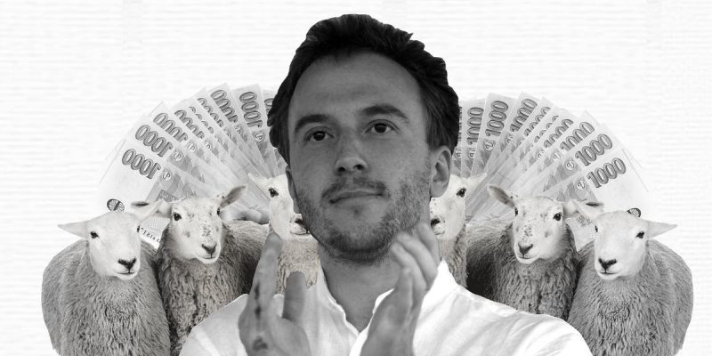 Obrázek epizody #186 - Minář žene ovce na Letnou. Jediným důvodem jsou prachy!