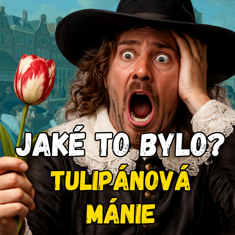 Obrázek epizody Jaké to bylo? Tulipánové šílenství