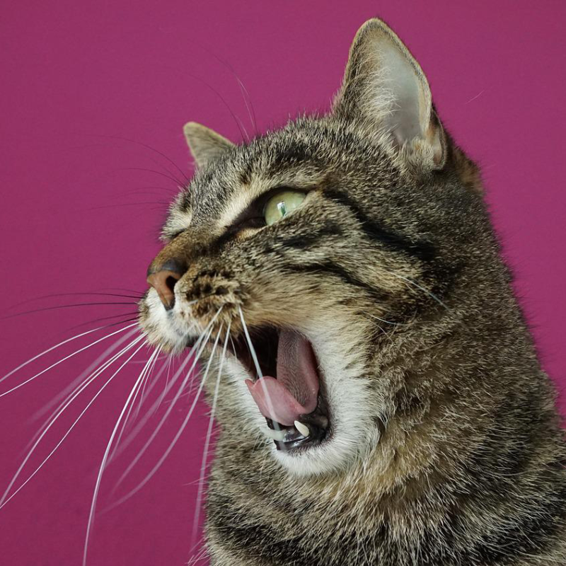 Obrázek epizody MÁŠ POCIT, ŽE TĚ ŽIVOT DRTÍ? TAK POSLOUCHEJ...