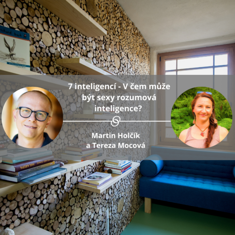 Obrázek epizody 7 inteligencí - V čem může být sexy rozumová inteligence? #mojespokojenost
