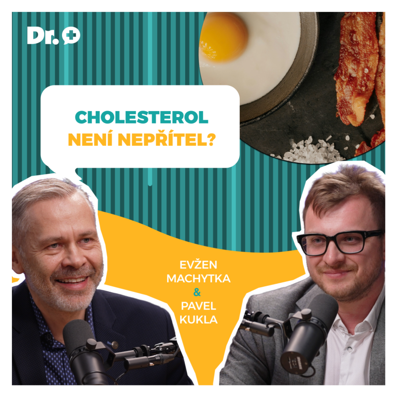 Obrázek epizody Cholesterol není nepřítel? Pravda o vejcích, lécích a infarktu