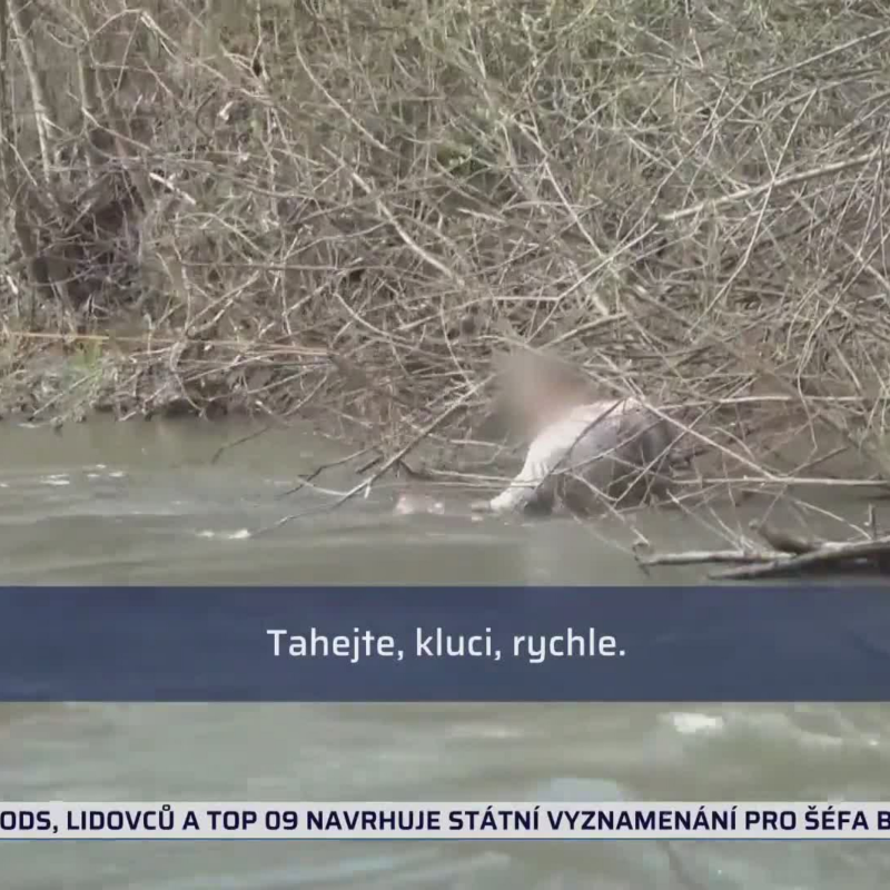 Obrázek epizody Honička v Havířově (zdroj: CNN Prima NEWS)