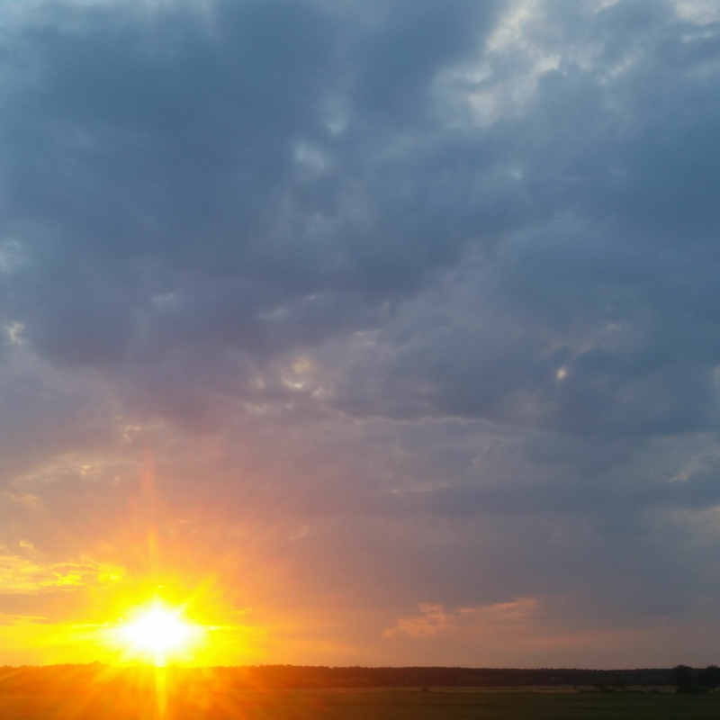 Obrázek epizody Mr.Sweet Lay