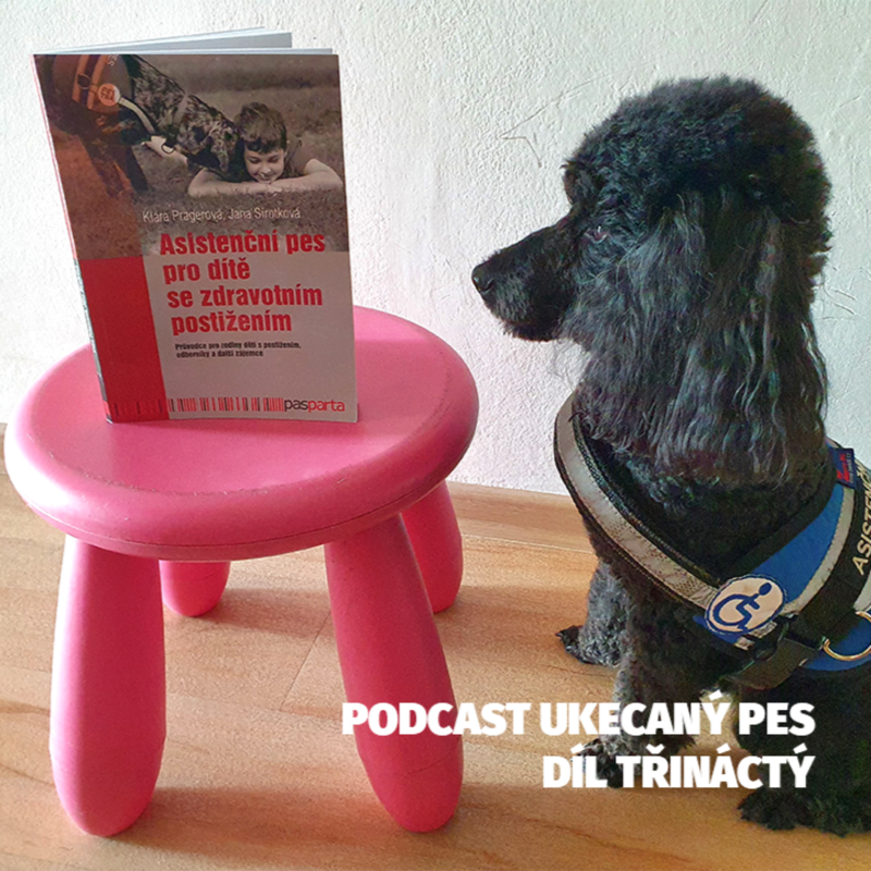 Obrázek epizody Asistenční psi a jejich výcvik a výchova