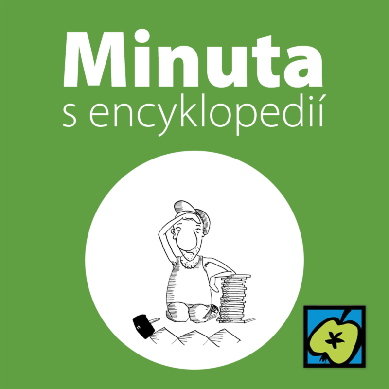 Obrázek epizody Dlaždič