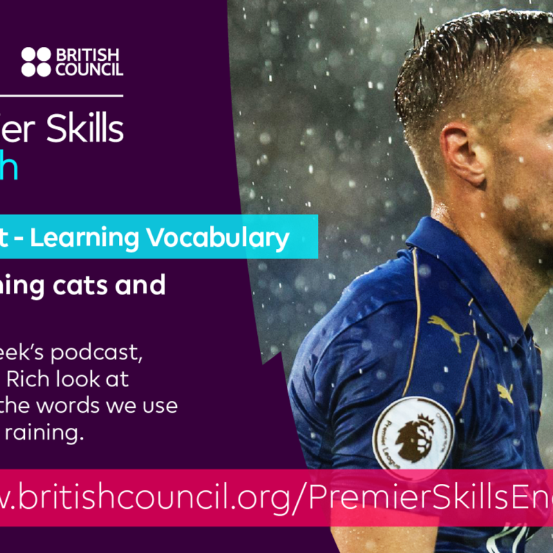 Obrázek epizody Learning Vocabulary: It's raining cats and dogs