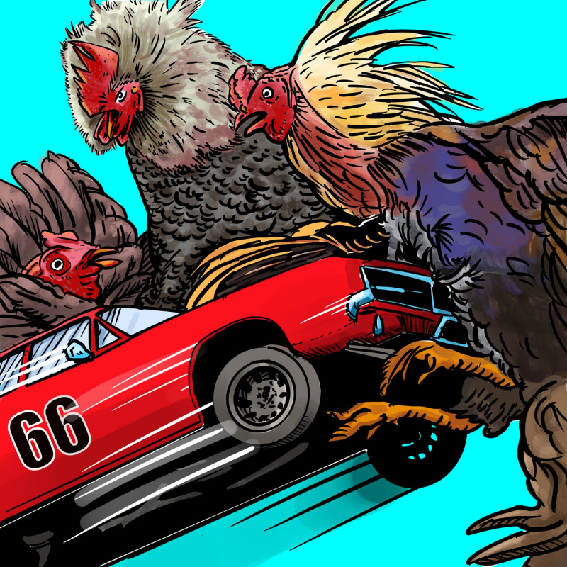 Obrázek epizody #34 - Limity AI a Kohoutí zápasy