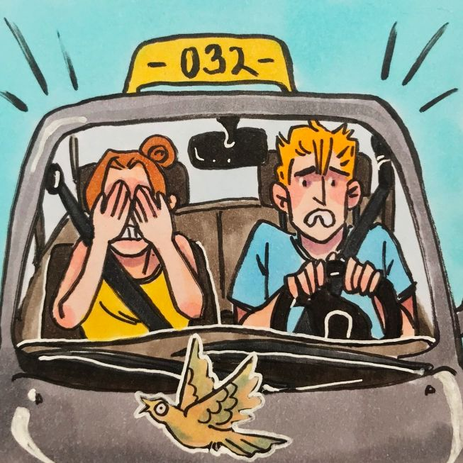 Obrázek epizody Autoškola