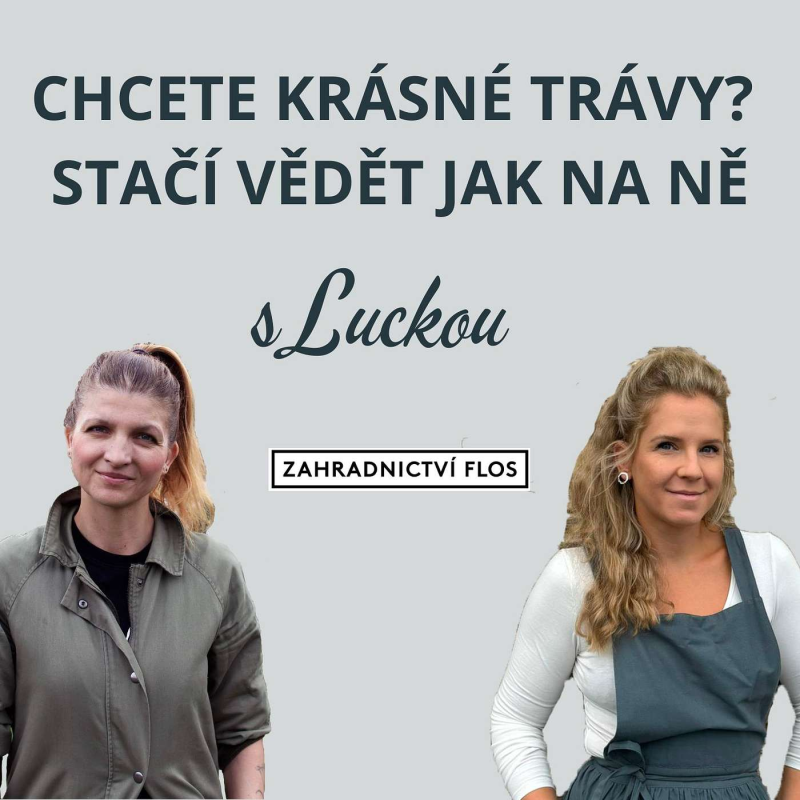 Obrázek epizody Neudělejte chybu hned na začátku – jak správně na okrasné trávy