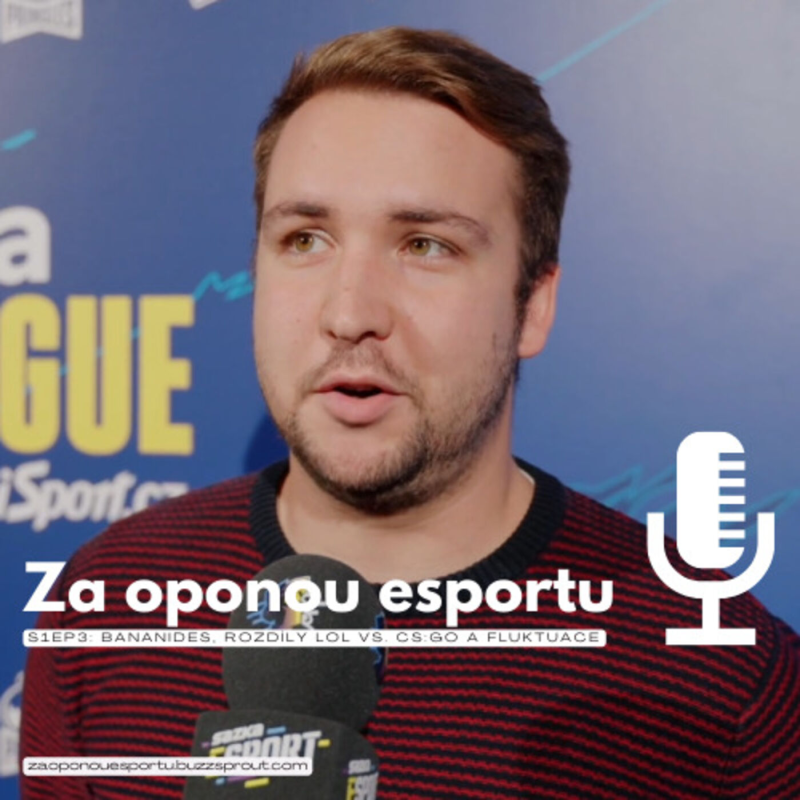 Obrázek epizody S1EP3: Na pivo s Moritzem půjdu, až SINNERS postoupí na Major | Host: Jiří "Bananides" Johanides