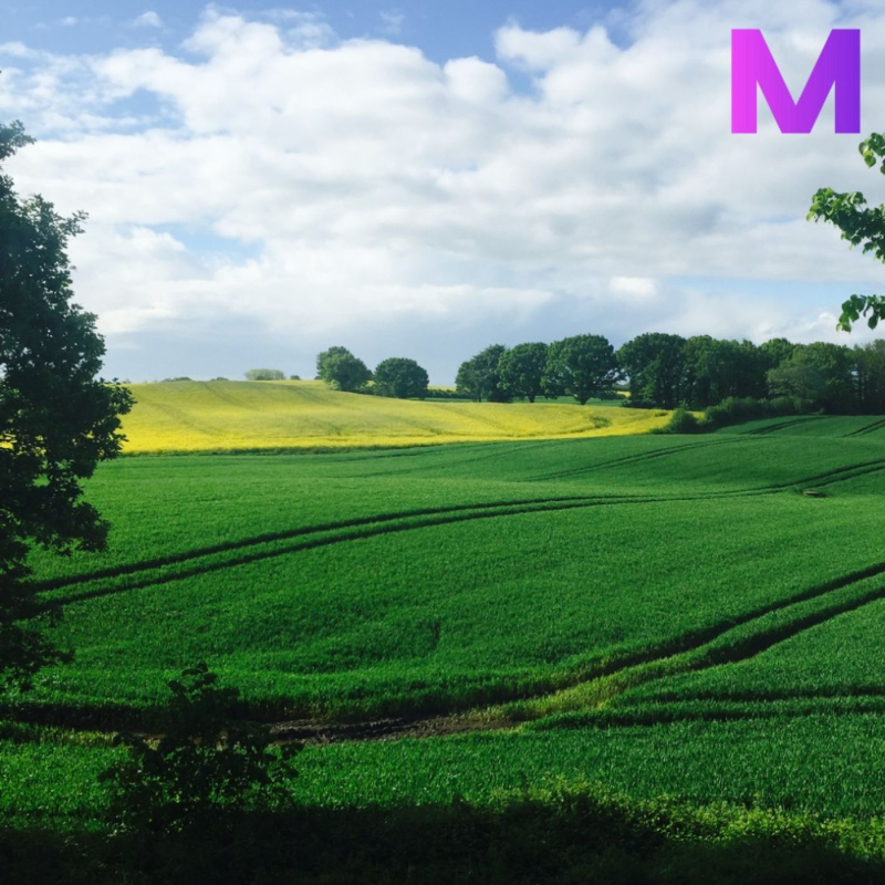 Obrázek epizody Německo a politika životního prostředí, část druhá: Opatrné poválečné budování a příběh radioaktivních ovcí