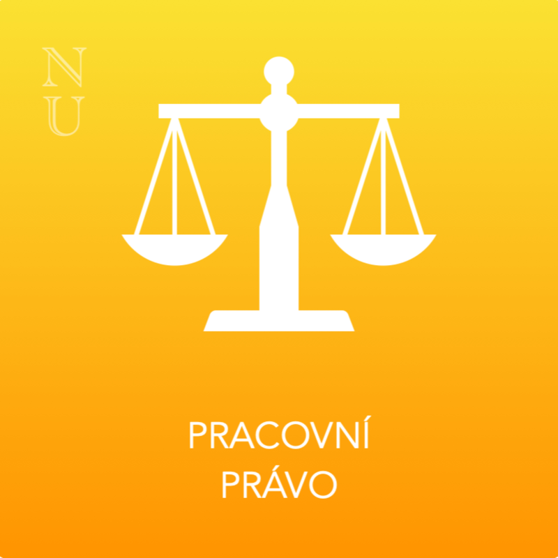 Obrázek epizody 1. Všeobecná ustanovení (Pracovní právo)