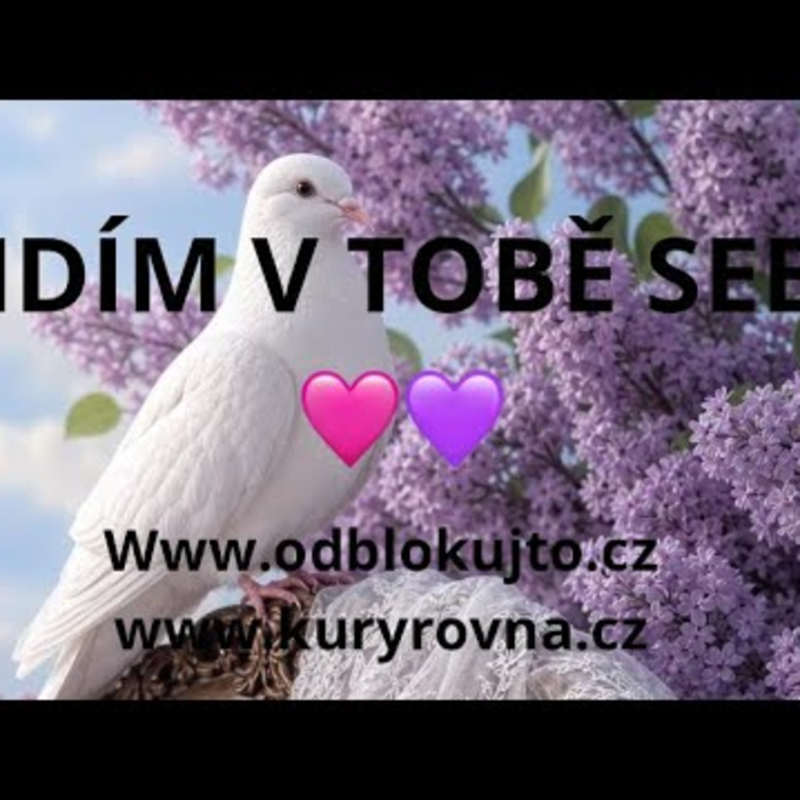 Obrázek epizody Hluboké propojení duší 🩷💜čím otevírám cestu? nastavení správného záměru🌟💫