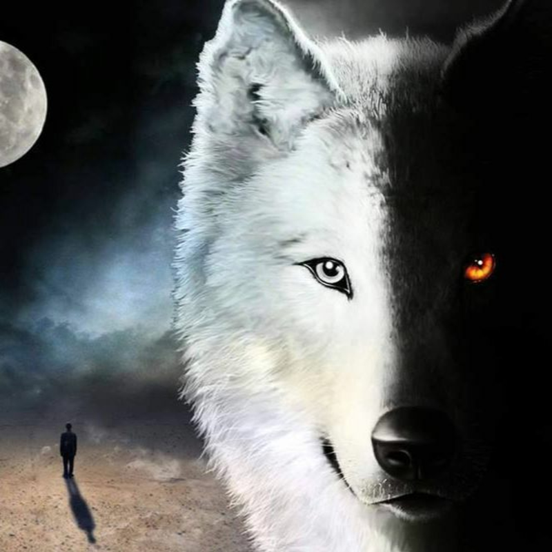 Obrázek epizody 4.2.2016 - Maya Mix-Two Dancing Wolves-Yin and Yang