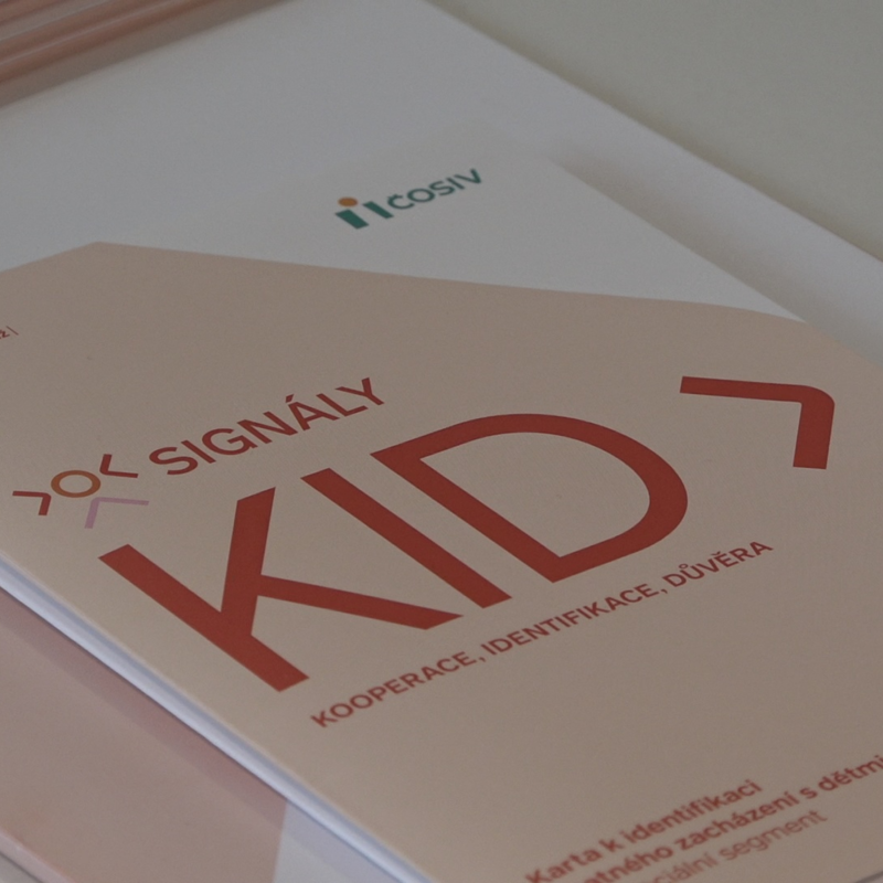 Obrázek epizody Policisté, učitelé, lékaři nebo sociální pracovníci snadněji a dříve rozpoznají ohrožené děti.