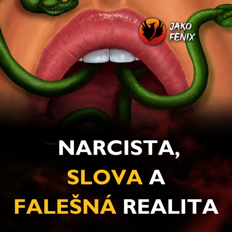 Obrázek epizody Narcista, slova a falešná realita