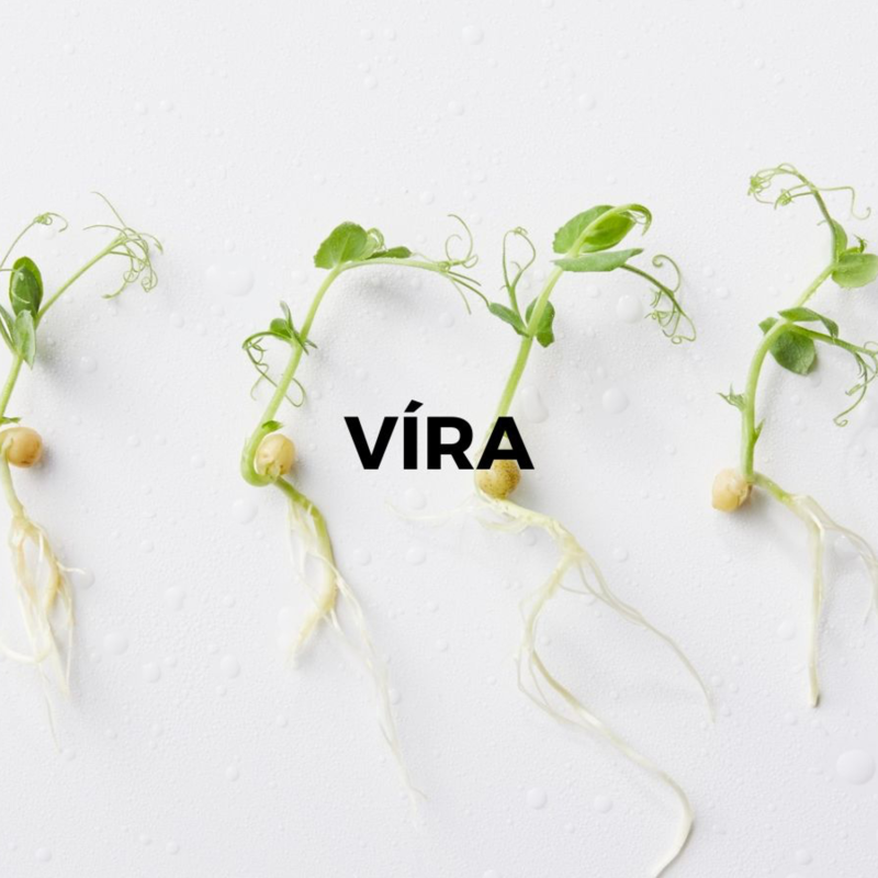 Obrázek epizody VÍRA