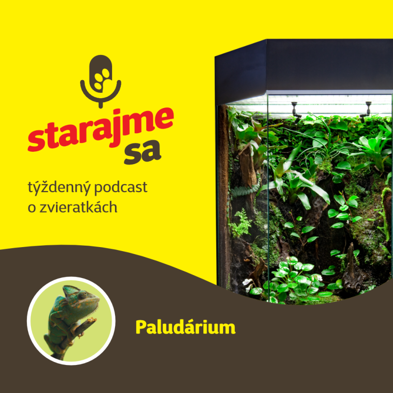 Obrázek epizody Teraristika: Paludárium