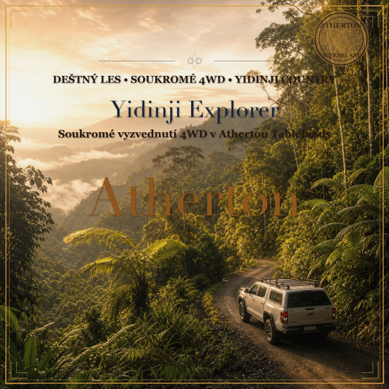 Obrázek epizody Yidinji Explorer Tour se soukromým vyzvednutím 4WD